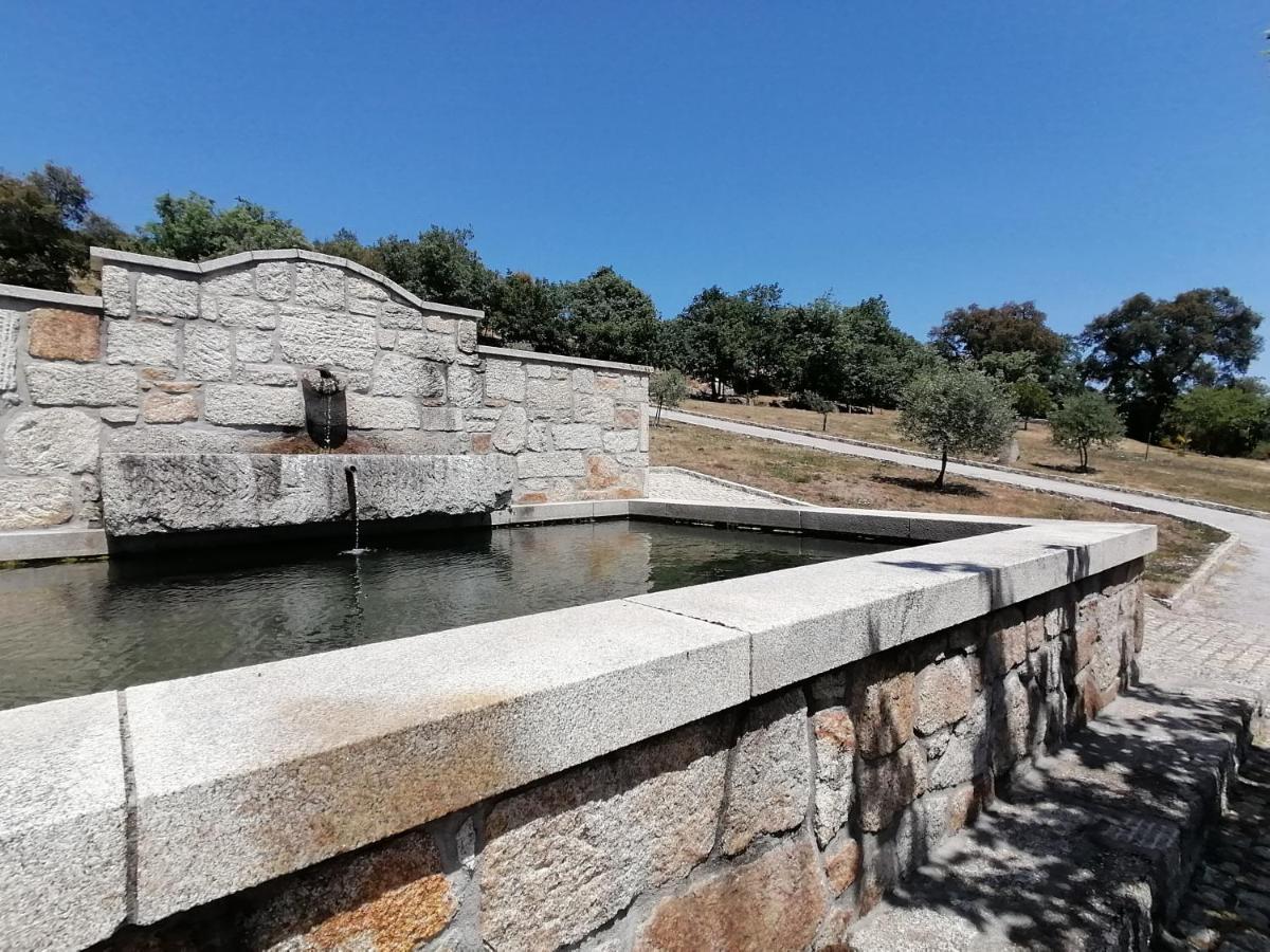 Lirios Da Granja - Casa De Campo Kültér fotó
