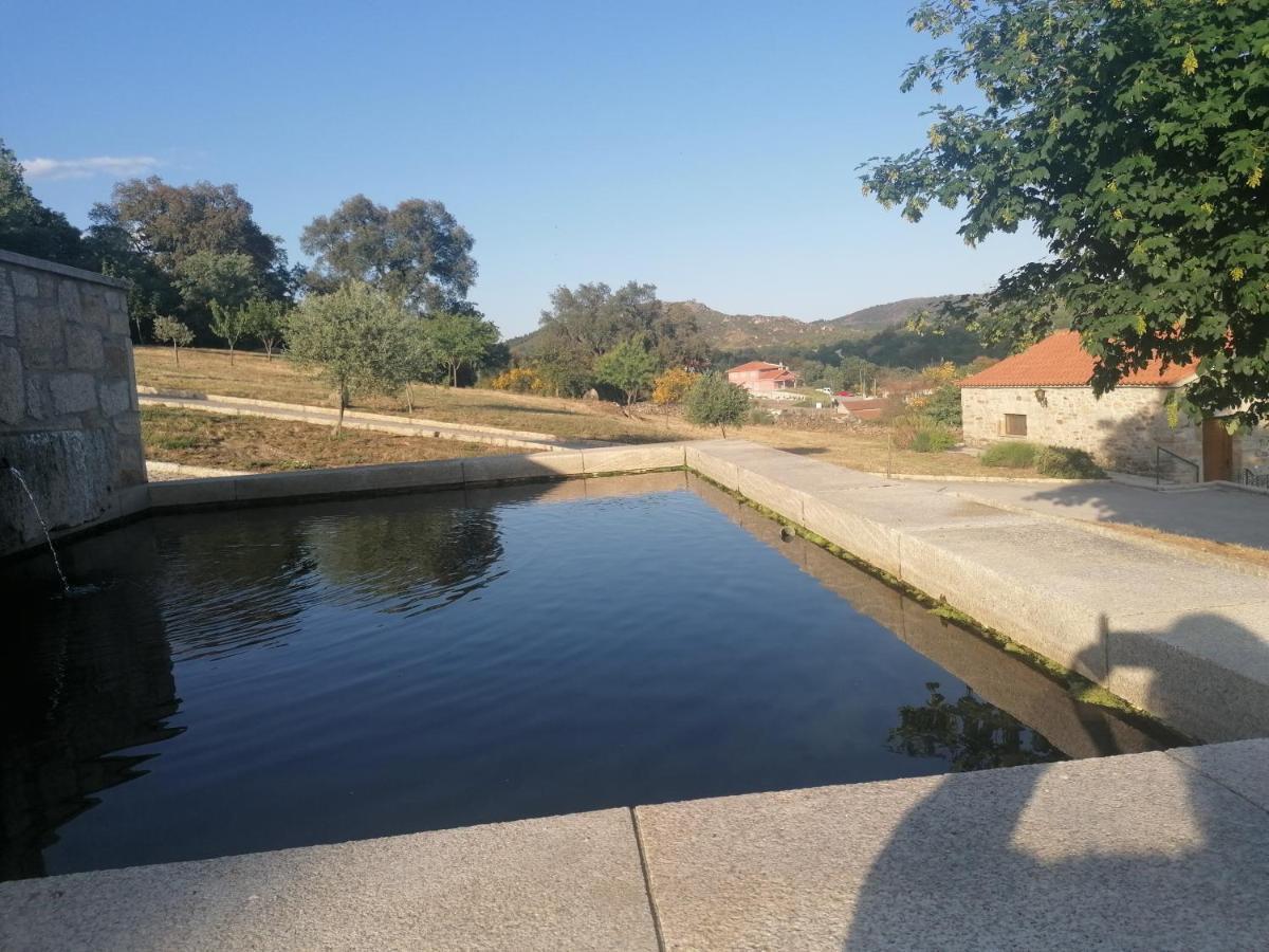 Lirios Da Granja - Casa De Campo Kültér fotó