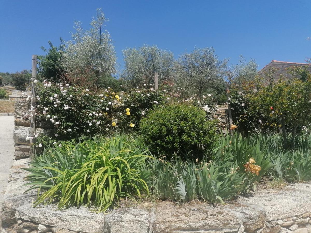 Lirios Da Granja - Casa De Campo Kültér fotó