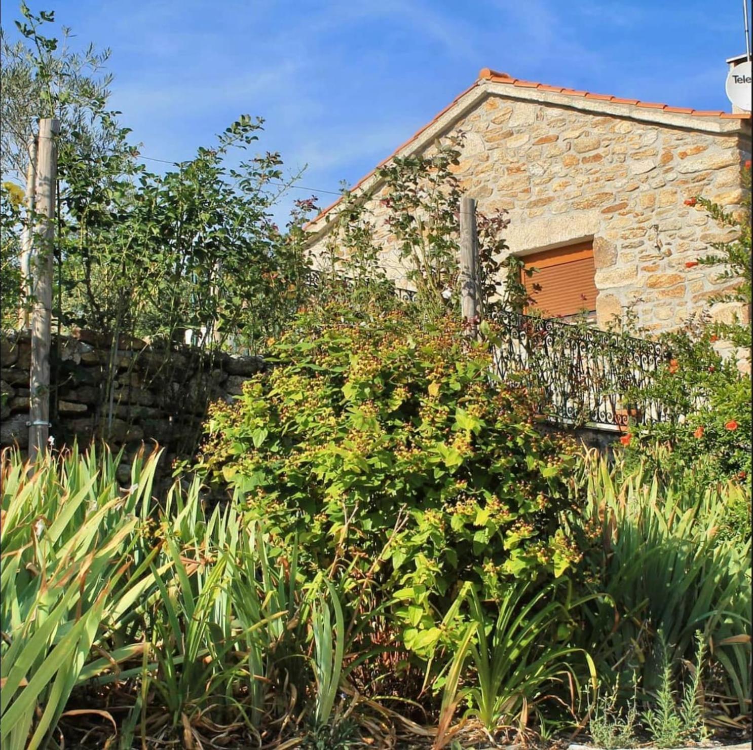 Lirios Da Granja - Casa De Campo Kültér fotó